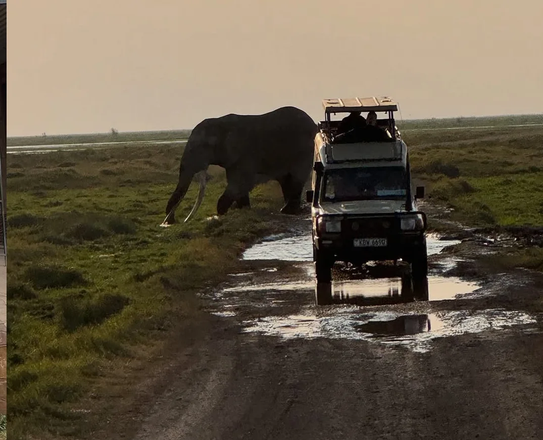 5-Day Awesome Kenya Luxury Safari