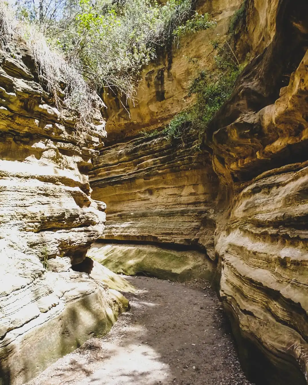 Lake Naivasha & Hell's Gate
