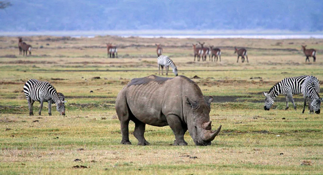 Ngorongoro Conservation Area