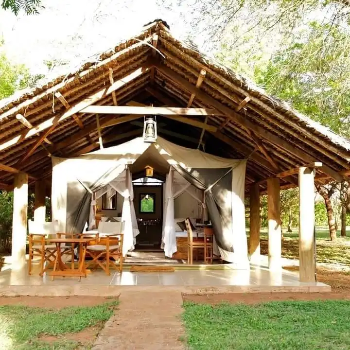 Voyager Ziwani Tented Camp