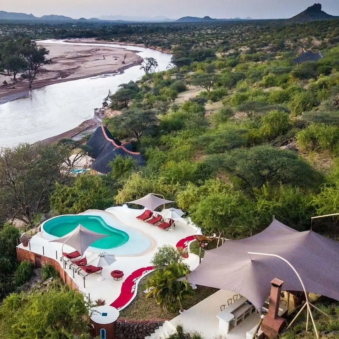 Sasaab (The Safari Collection)