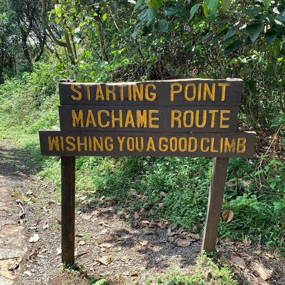 6-Day Kilimanjaro Machame 'Whiskey' Route