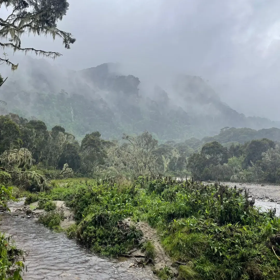 9-Day Rwenzori Kilembe Trail via the Southern Route