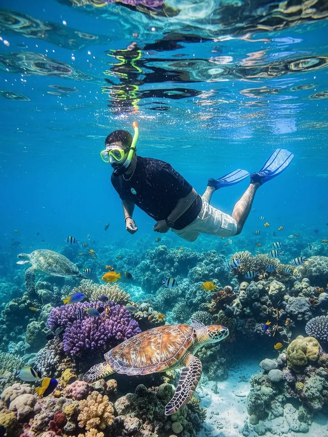 Watamu Marine National Park & Reserve