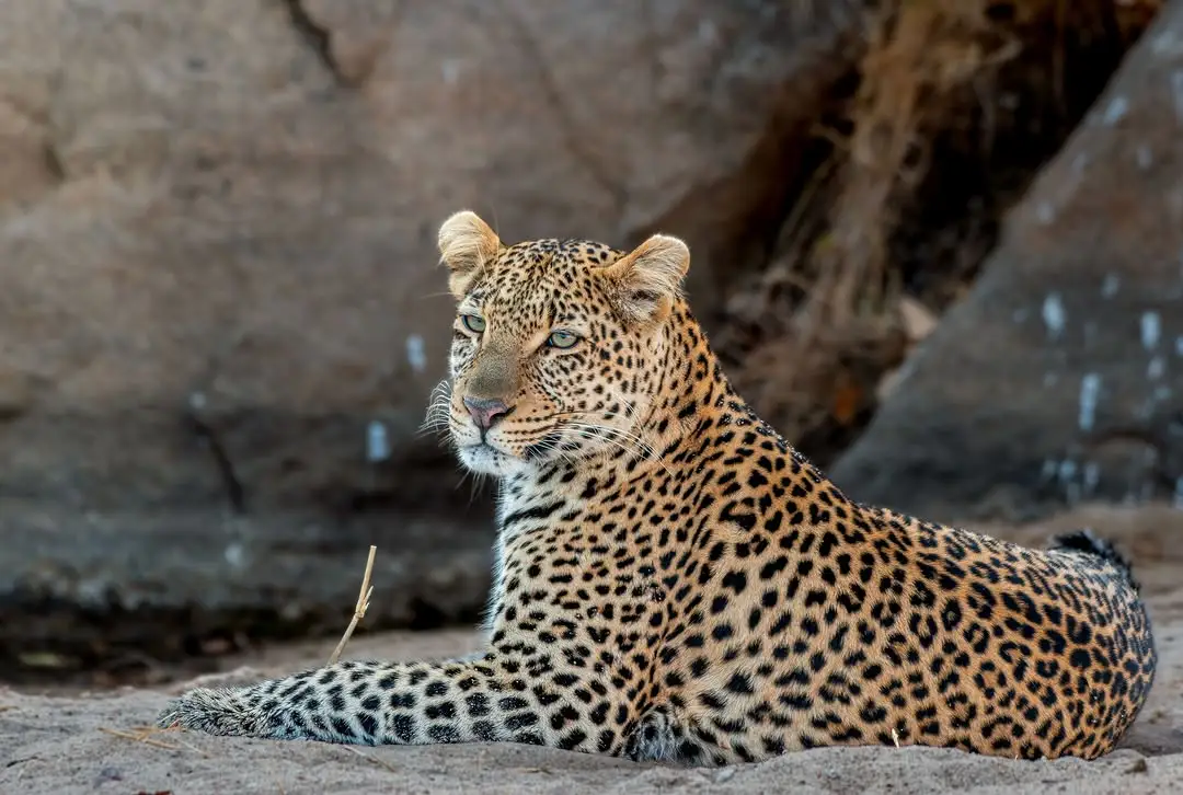 Ruaha National Park