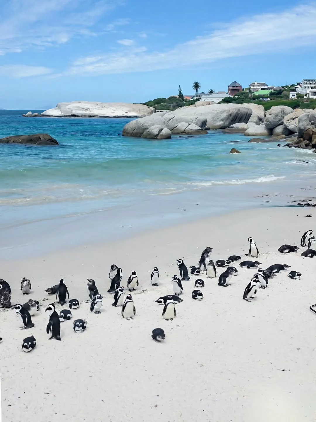 Boulders Beach