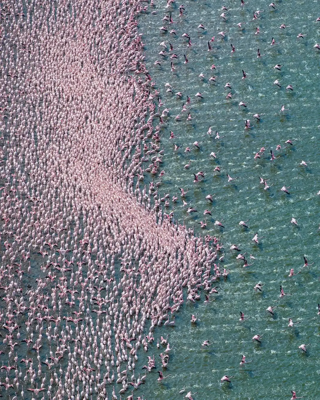 Lake Bogoria National Reserve