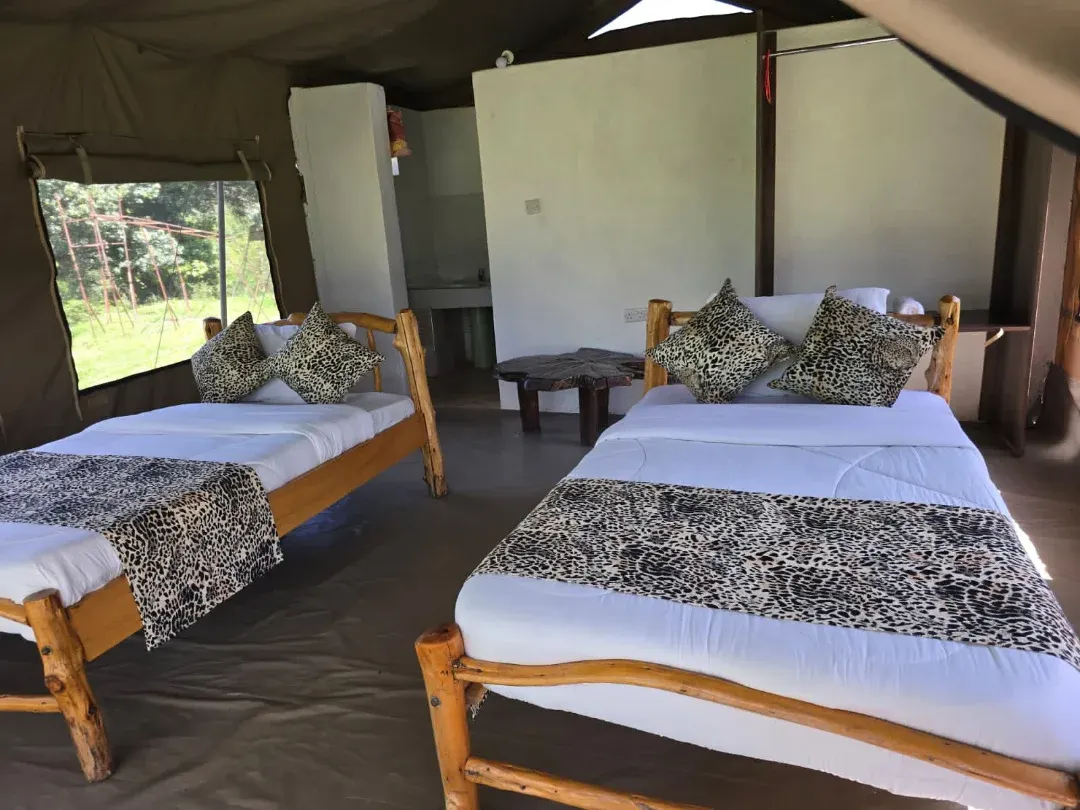 Wild Nest Mara Camp