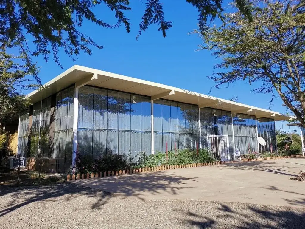 Mara Jambo Safari Lodge