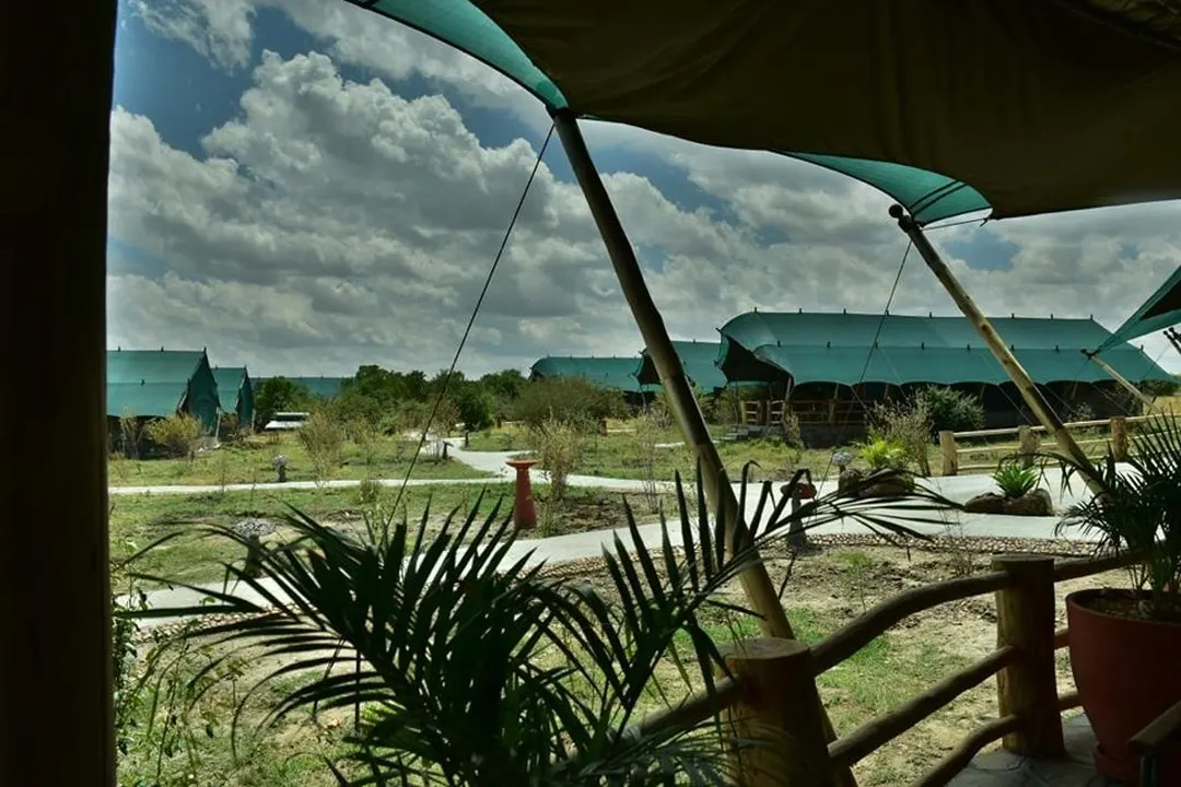 Mara Maisha Camp