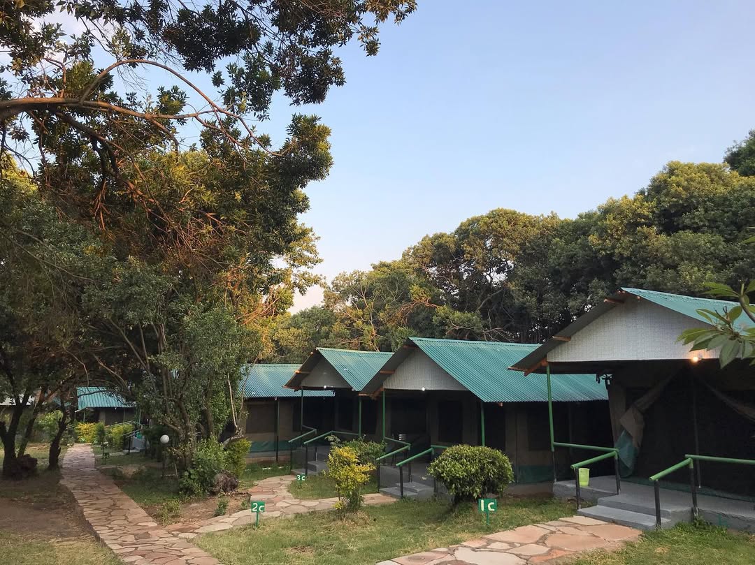 Miti Mingi Eco Camp