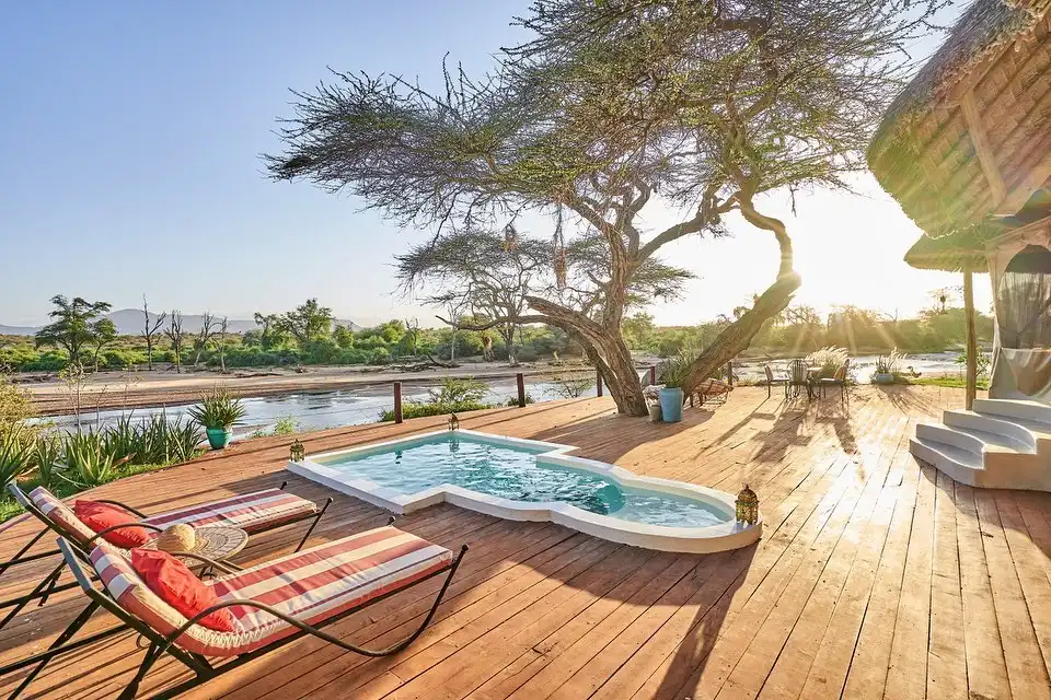 Sasaab (The Safari Collection)