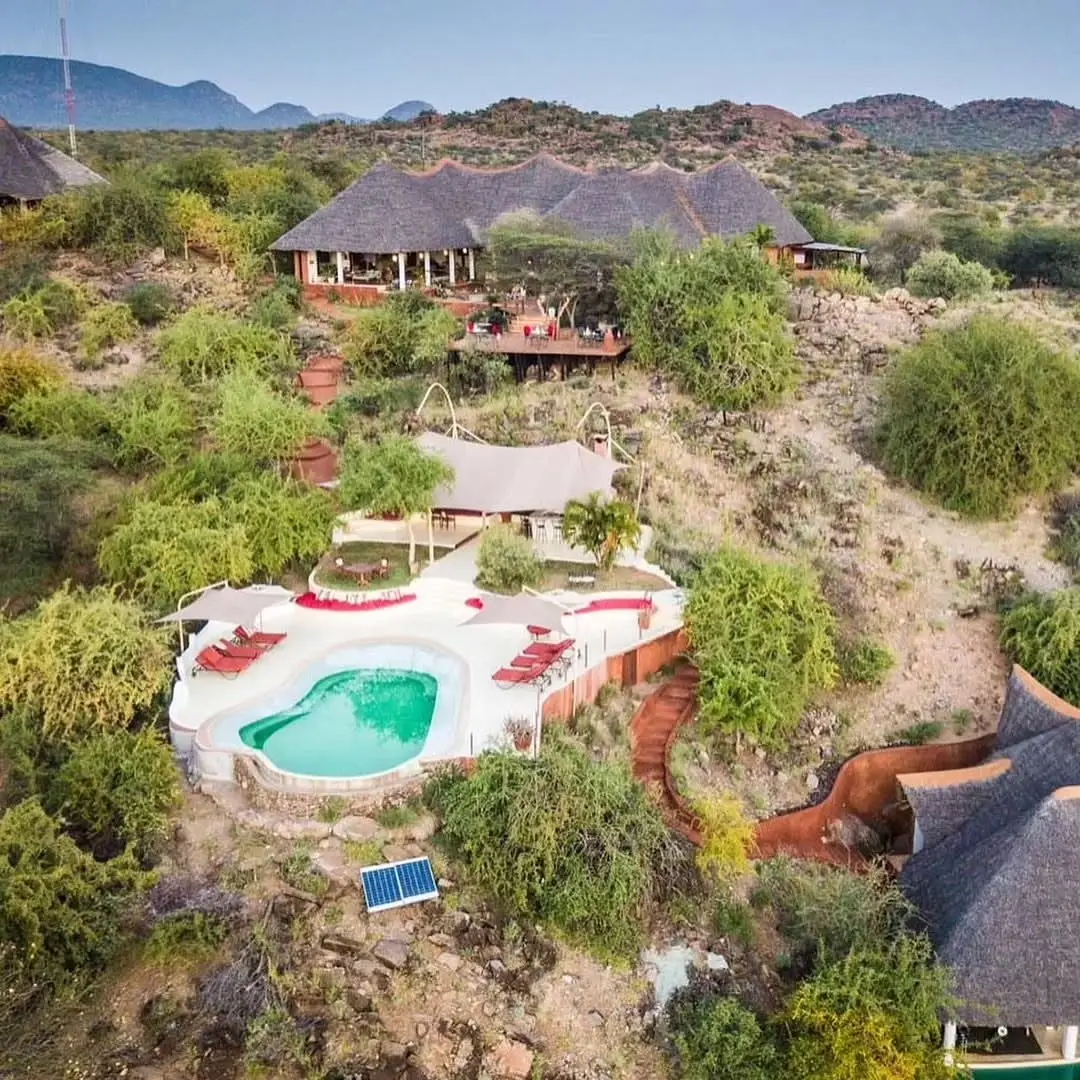 Sasaab (The Safari Collection)