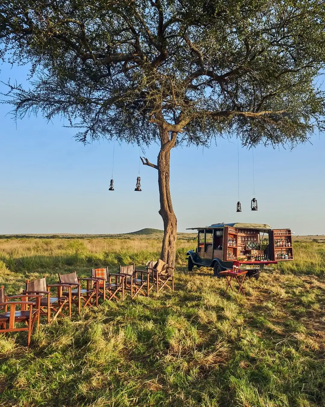 Sala's Camp (The Safari Collection)