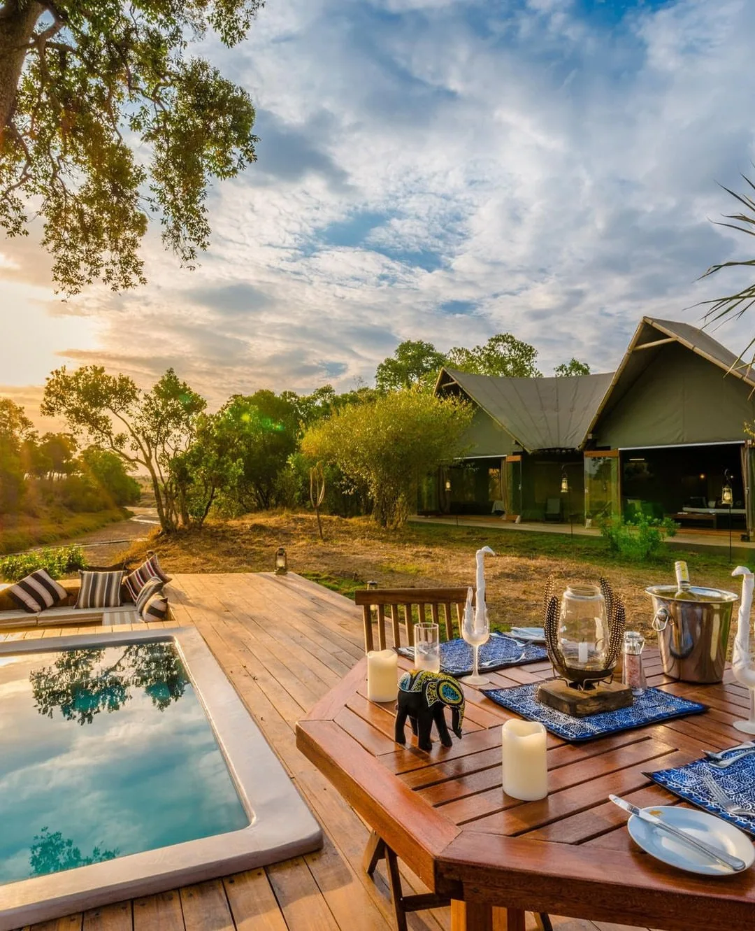 Sala's Camp (The Safari Collection)