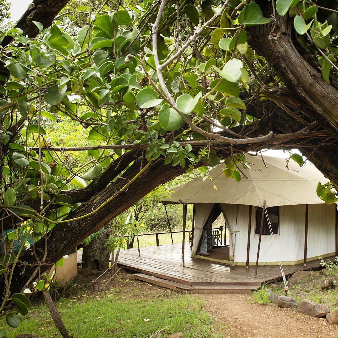 Serian 'The Original' Camp