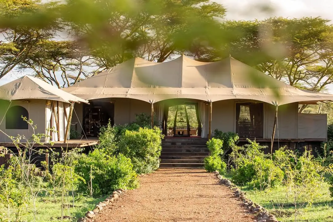 Mara Nyika Camp (Great Plains Conservation)